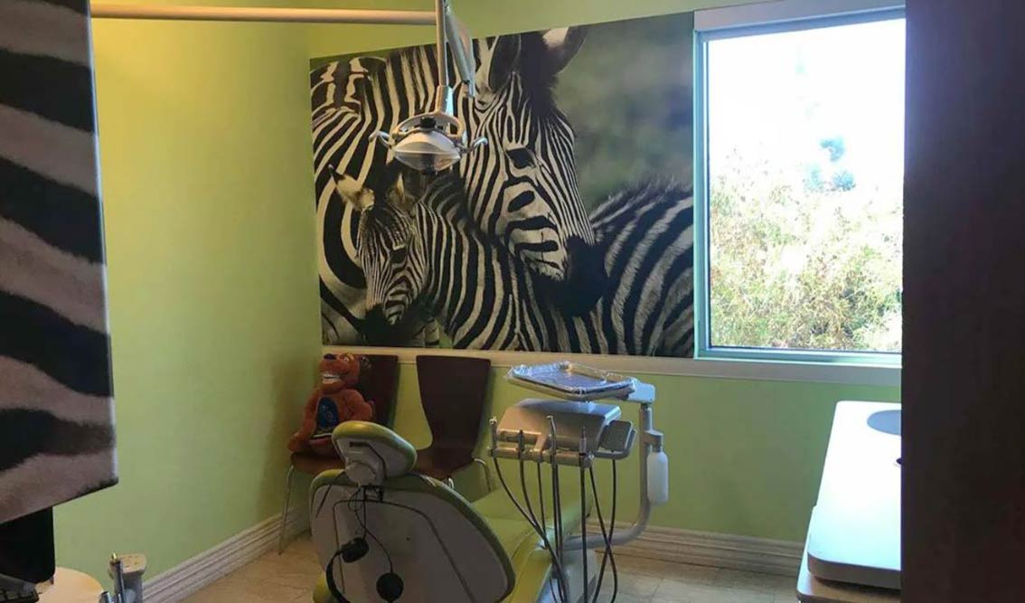 interior-photo-of-dental-office-with-green-walls-and-animal-posters2